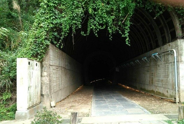 苗栗功維敘隧道 (4)