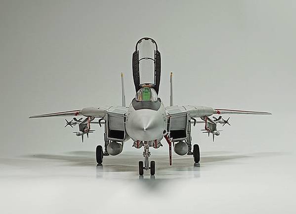 Hasegawa 1/48 F-14A  Tomcat 雄貓