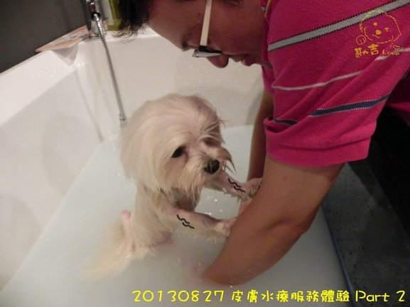 DSCN1273.jpg