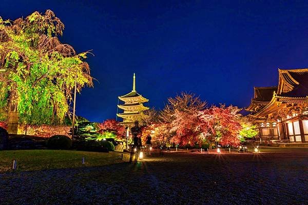 東寺