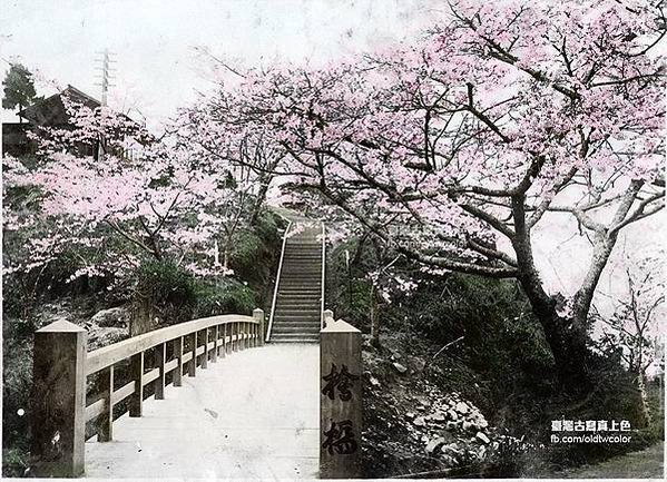 老照片/臺北明治橋旁臺灣神社鳥居/裕仁皇太子車隊行經臺灣總督