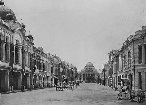 國立台灣博物館/龍宮翁戎螺/於1915年，1998年被指定為