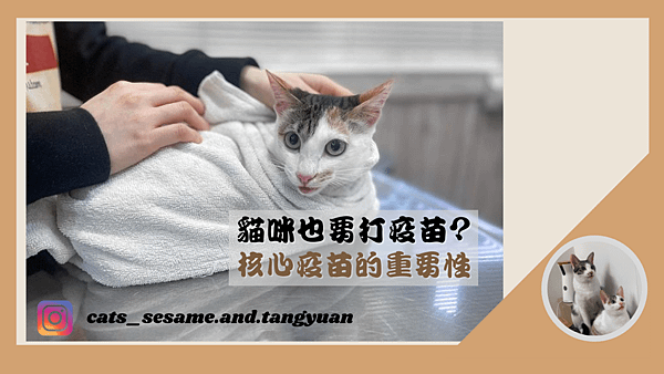 21Brown, Beige and Grey Cute Pets Collection YouTube Thumbnail 的複本 的複本