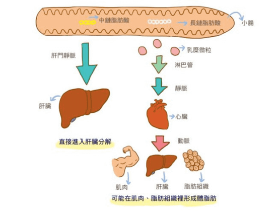 螢幕快照 2018-06-10 下午8.30.34.png