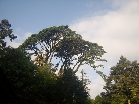 1010505~06兩日閂山單攻(下集)~原來計畫是閂山及鈴