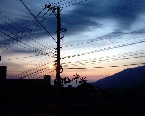 世界樹(陽明山山路)(使用通常電池的簡陋傻瓜相機拍攝).jpg