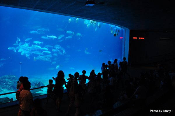 9907夜宿海参館 080.jpg