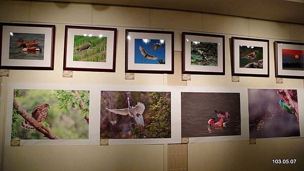 P1400663.JPG