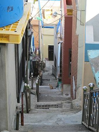 IMG_3380