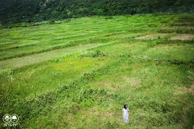 台中自助婚紗,禮服租借,婚紗禮服工作室,八田伴伴 手作禮服婚務所,8DPP WEDDING,單租禮服,自主婚紗攝影