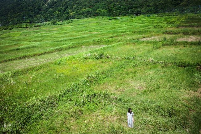 伴伴私心推薦十二款美式輕婚紗 | 八田伴伴 手作禮服婚物所