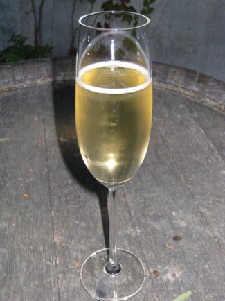 IMG_2385.jpg