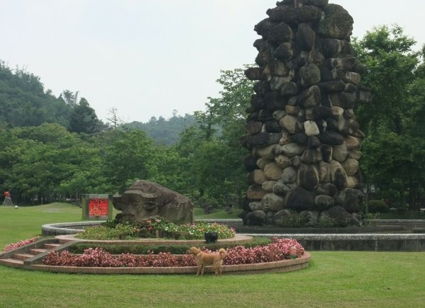 狗狗出遊〉南投埔里．玫開四度食用玫瑰園．田心心蔬食餐坊．牛耳