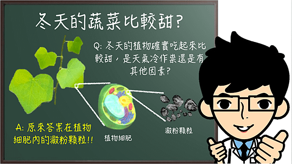 冬天的蔬菜通常比較甜？.png