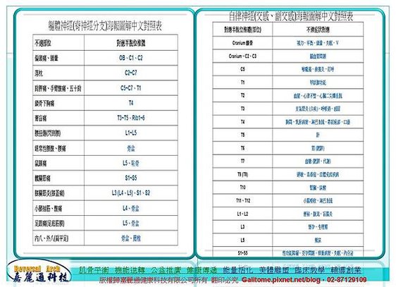 足弓腳正定位分析技術培訓班6