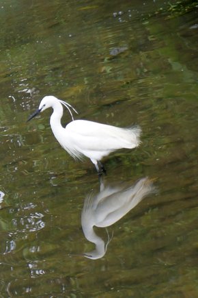 臺北好地方～大安森林公園&amp;永康隨走