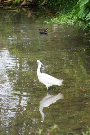 臺北好地方～大安森林公園&amp;永康隨走