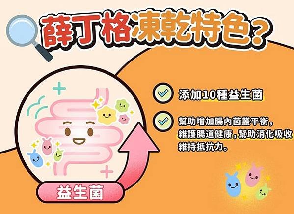 研討量子力學詮釋問題時，薛丁格貓也時常會被提出-薛丁格貓T恤