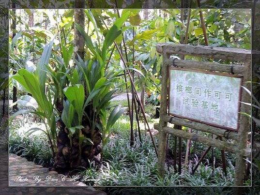 興隆熱帶植物園