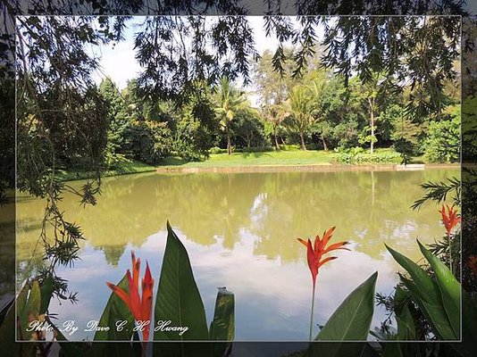 興隆熱帶植物園