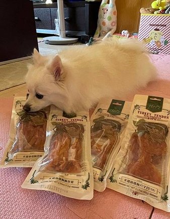 LINE_ALBUM_本丸赫緻_250101_28.jpg
