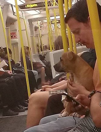 IMAG0417.jpg