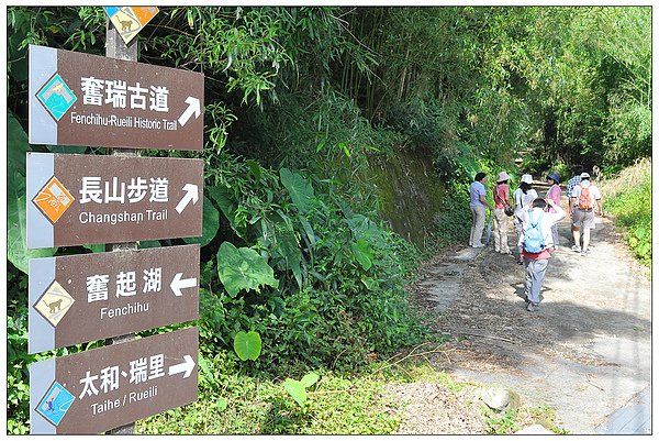 99年嘉義~樟樹湖 463.jpg