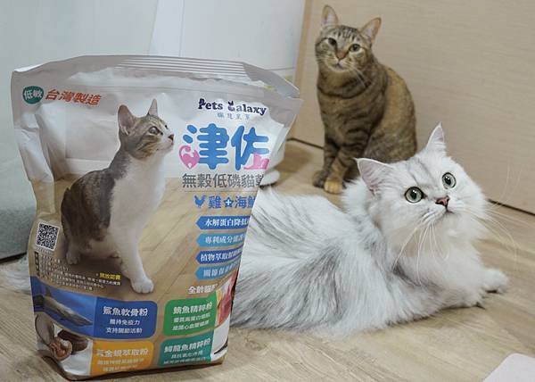 【喵星人主食推薦】健康飲食=幸福關鍵 !  給毛孩全方位的營