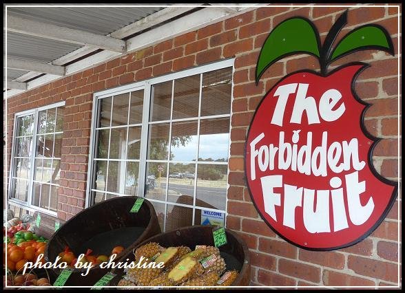 【The Forbidden Fruit Store】on Highway 1