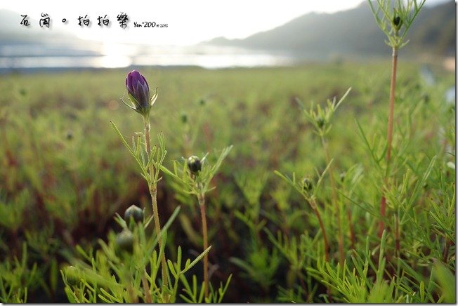 z_DSC00751