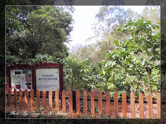 興隆熱帶植物園