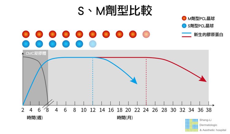 洢蓮絲ellanse聚己內酯PCL依戀詩易麗適少女針奇蹟針液態拉皮上立提二代童顏針膠原蛋白增生推薦醫師液態拉皮二代童顏針台北推薦診所上立皮膚科林上立醫師07.jpg