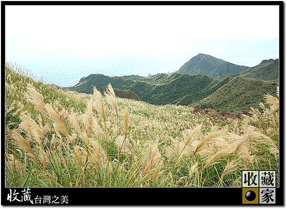 台灣之美 8