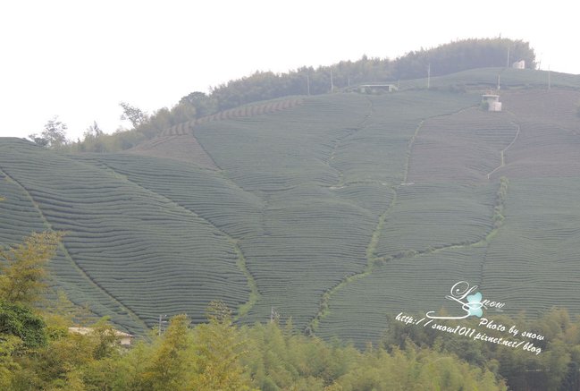 沿途風景