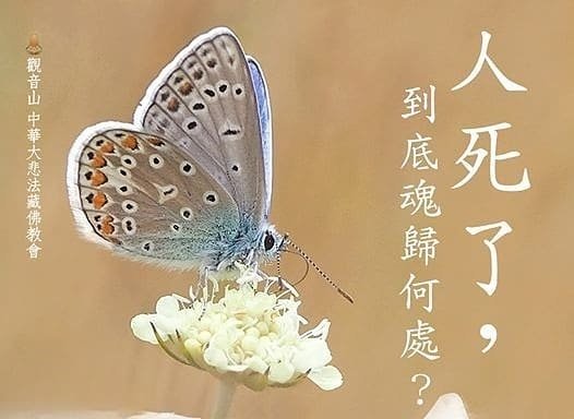 如何知道往生者過的好不好? 六道輪迴的真實境界.jpeg