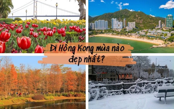 Đi Hồng Kông Mùa Nào Đẹp Nhất?