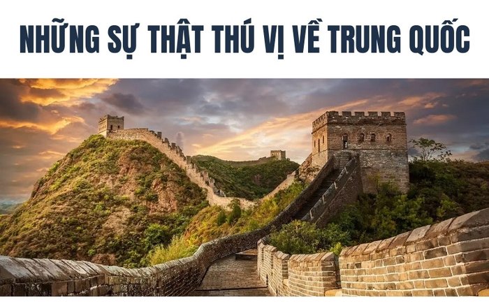 Những Sự Thật Thú Vị Về Trung 