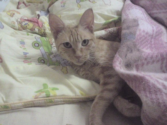 DSC00410.JPG