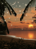 風景閃圖1.gif