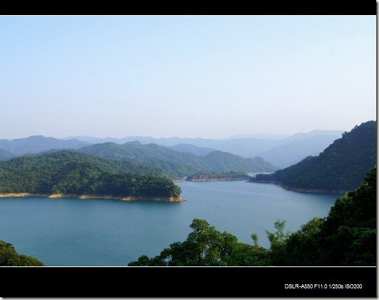 石碇茶園千島湖_01