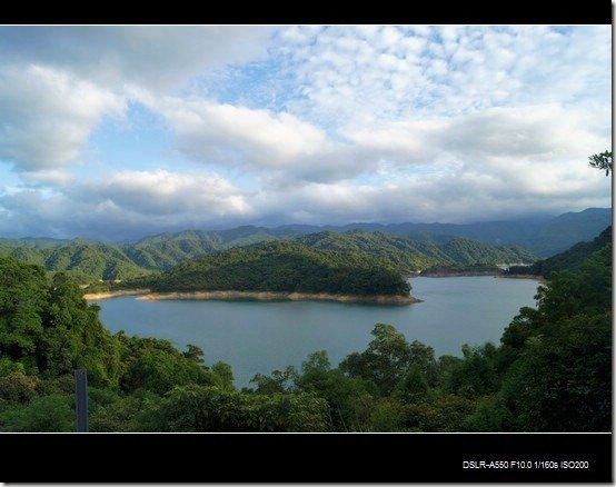 石碇茶園千島湖_10