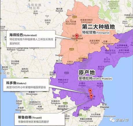 紫檀產地.png