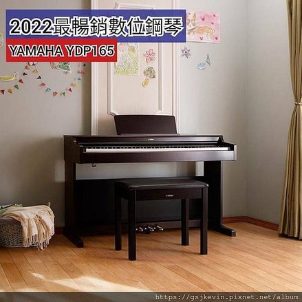 YDP165B.jpg