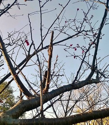 WP_20140125_003