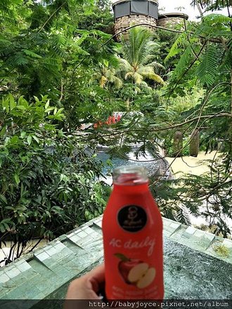 IMG20180618093418.jpg