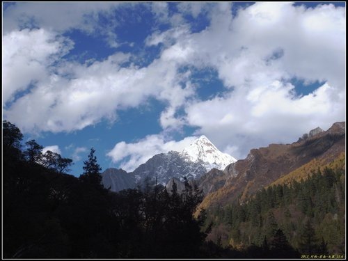 四姑娘山_長坪溝