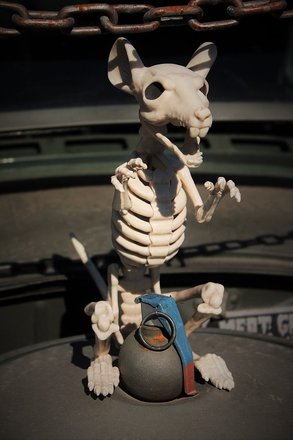 skeleton-rat-1785027_960_720.jpg