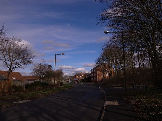 R0021671.JPG