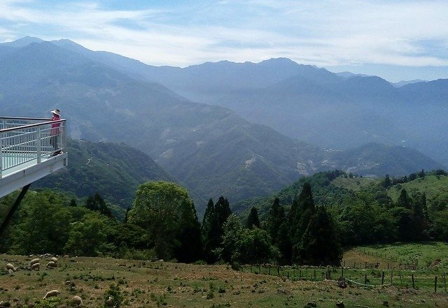 清境農場天空步道 (15)