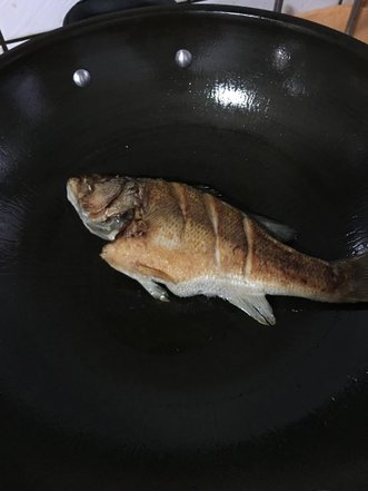 IMG_1568.JPG